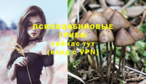 MDMA Вяземский